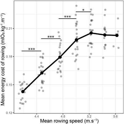 Is the Energy Cost of Rowing a Determinant Factor of Performance in Elite Oarsmen?